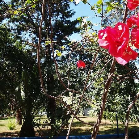 מלון Park Ristorante Corallo פוסאדה