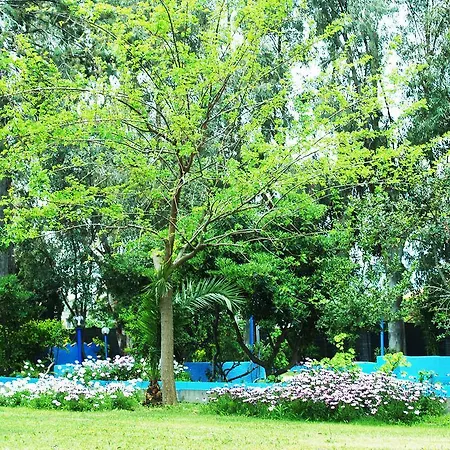 Park Ristorante Corallo מלון