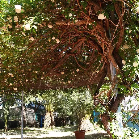 Park Ristorante Corallo 2*
