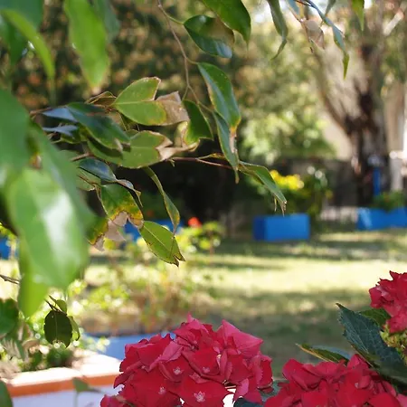 Park Ristorante Corallo
