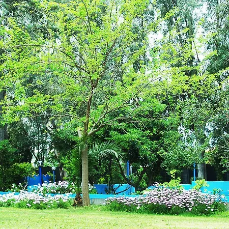 Park Ristorante Corallo Hotel
